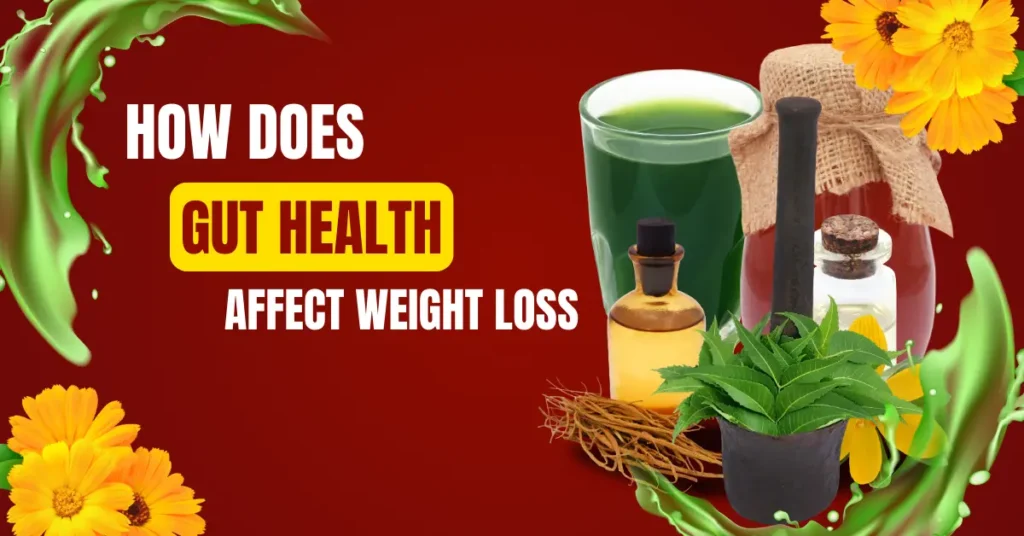 How Does Gut Health Affect Weight Loss