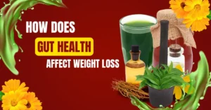 How Does Gut Health Affect Weight Loss